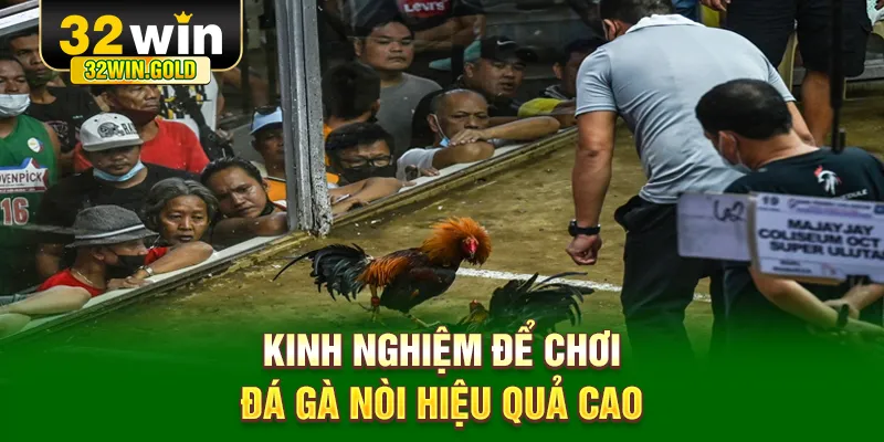 Kinh nghiệm để chơi đá gà nòi hiệu quả cao